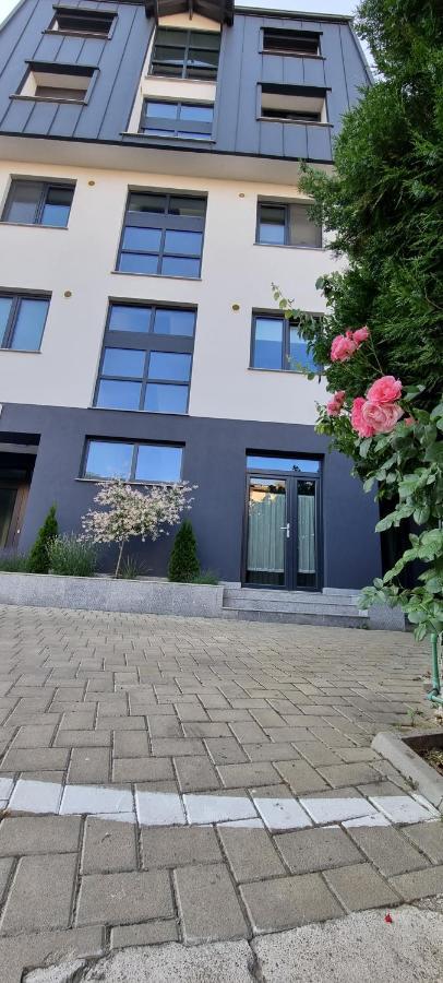 Yla Studio- Piatra Neamt Luaran gambar